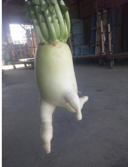 走过大街小巷