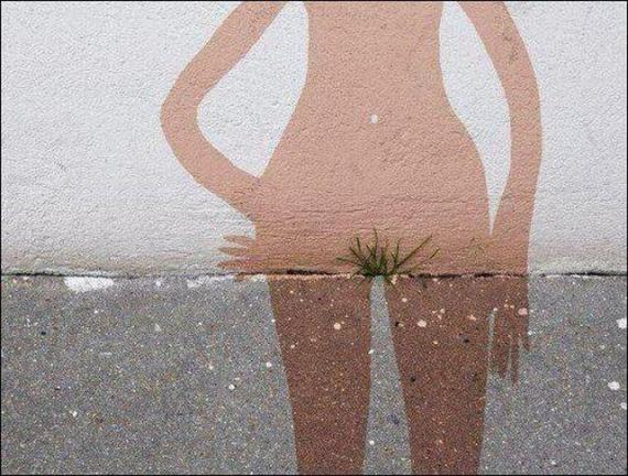 含蓄的小草