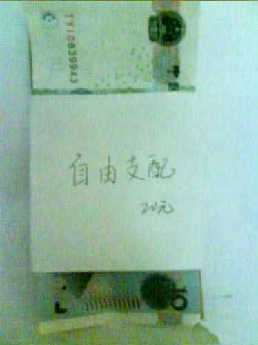 自由支配 20大洋