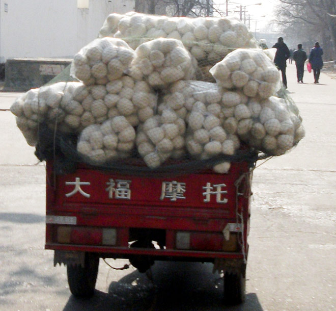 满载而归果然大福~