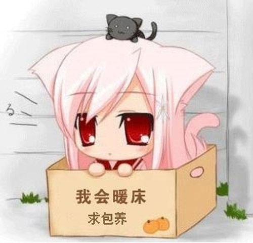 求包养 我会暖床