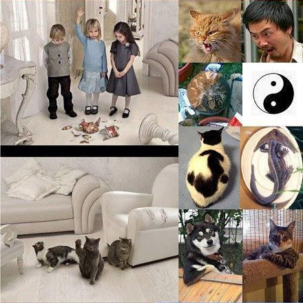 这个世界真是太小了
