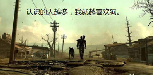 认识的人越多，我越喜欢狗。
