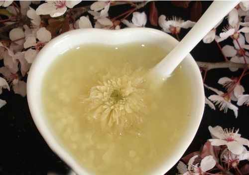 每天一碗菊花台，长命百岁啊~