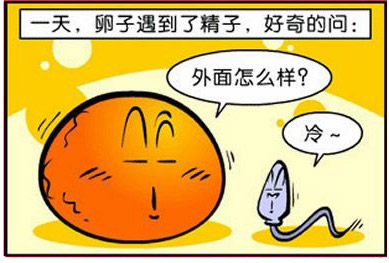 一天卵子遇见了精子
