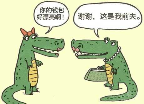 鳄鱼漂亮的钱包。