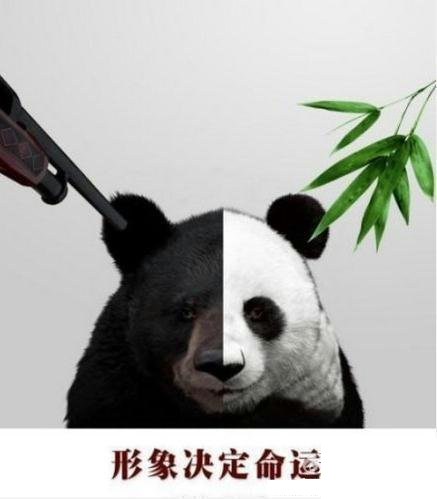 这个图，说明了形象是很重要滴！