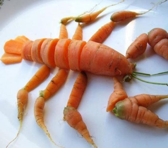 胡萝卜 大龙虾