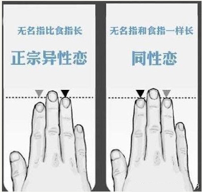 坑爹的测试--看手指辨别同性恋和异性恋