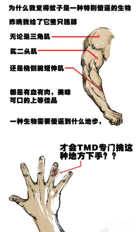 为什么我觉得蚊子是一种特别傻逼的生物