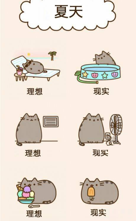 理想和现实是有很大差别的