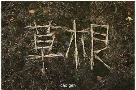 草根时代