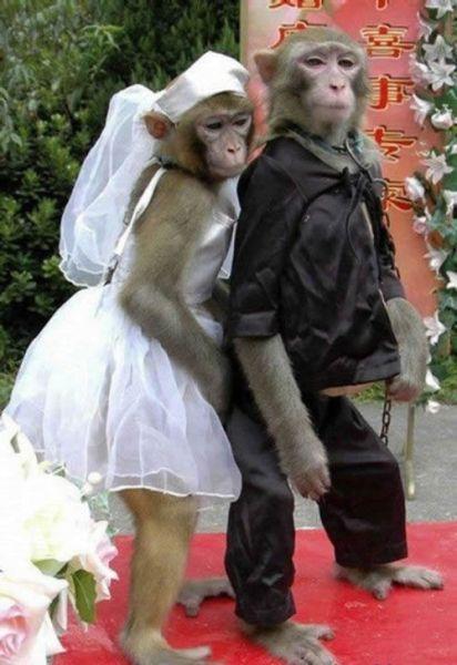 我们结婚吧