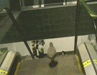 小鸭子下楼梯
