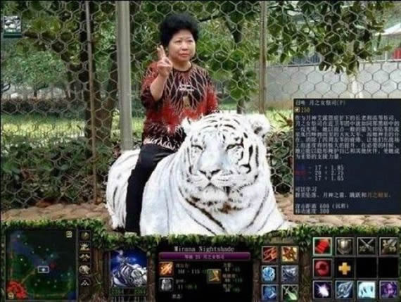 虎妞。。