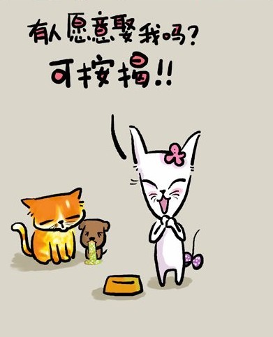 有人愿意娶我吗？可按揭！！