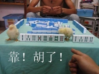 靠 胡了