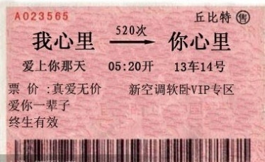 无价的火车票