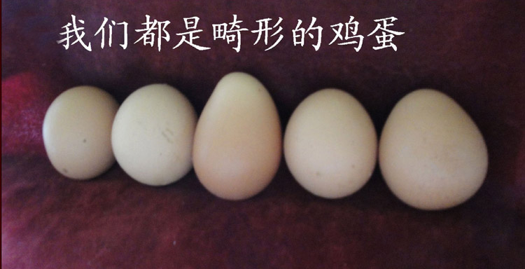 我们都是畸形的蛋