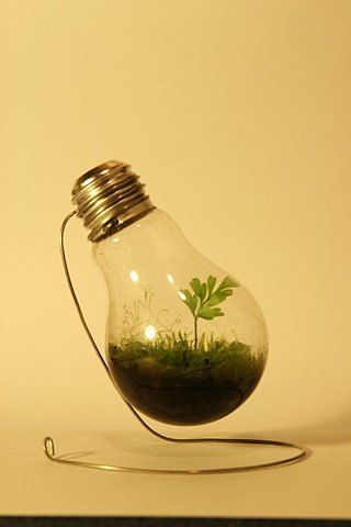 环保灯泡
