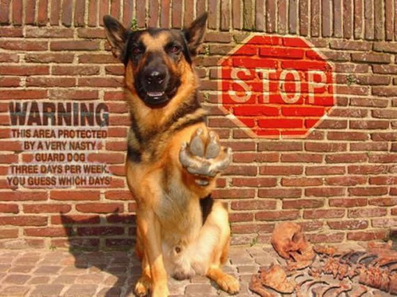 STOP