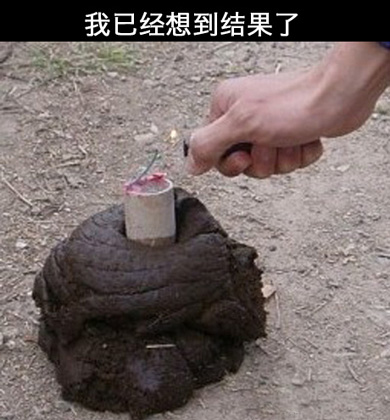 爆！！我已经想到结果了！