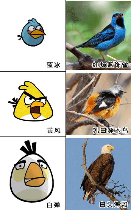 蓝冰，黄风，白蛋