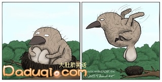 我的2个蛋蛋