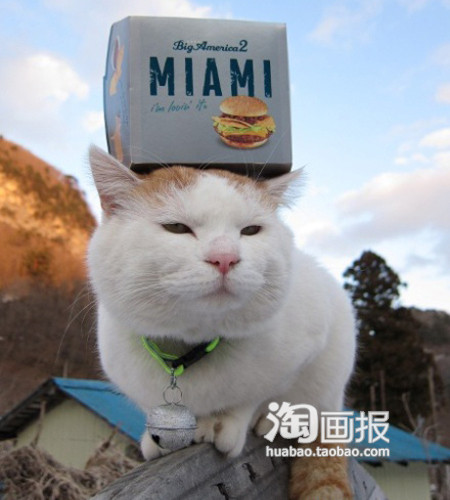 好面包