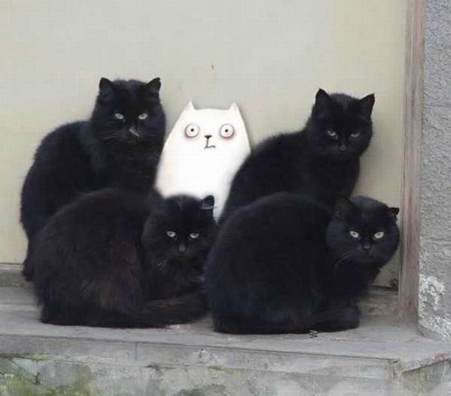 是幻觉