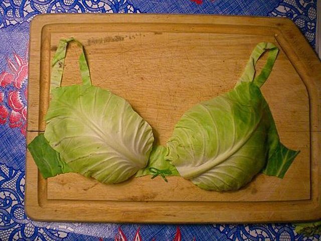 绿色环保胸罩
