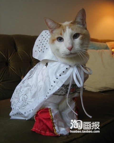 我是女侠。。。