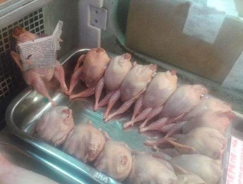 开会了开会了！