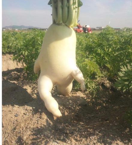 我走啊走啊走！