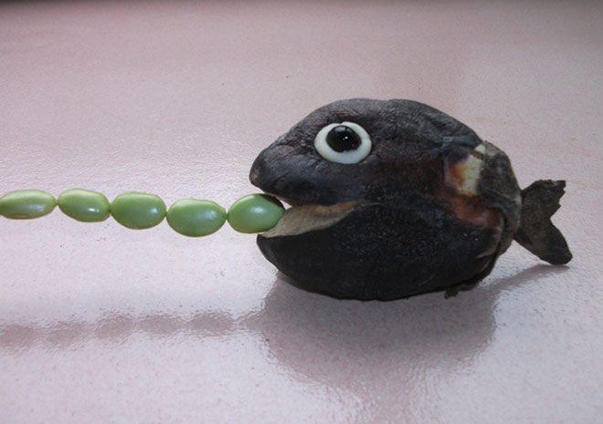 吃豆豆